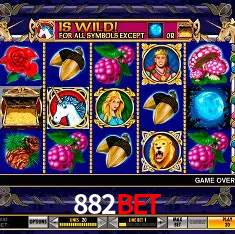 882bet Rio de Janeiro - Bonus Terms